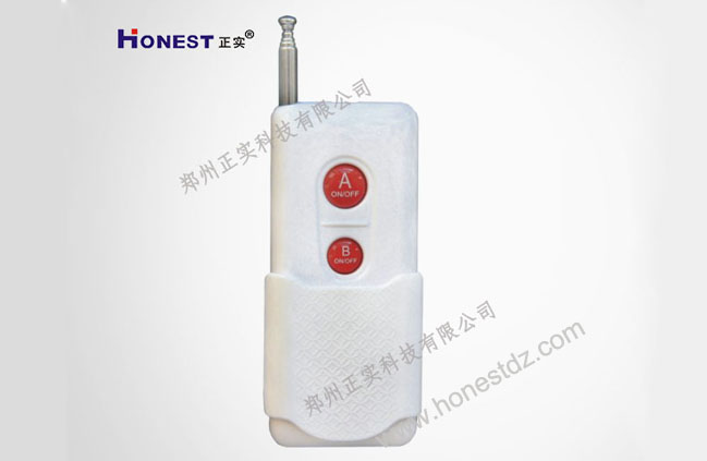 New style thousands kilometer two-button remote control