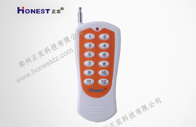 12-button remote control