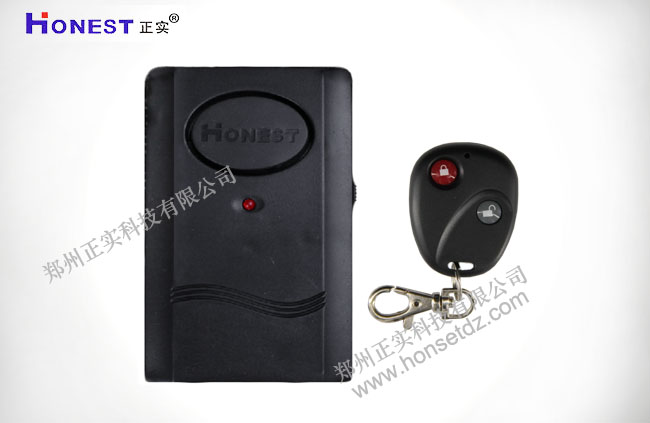 Remote control shocking electronic dog